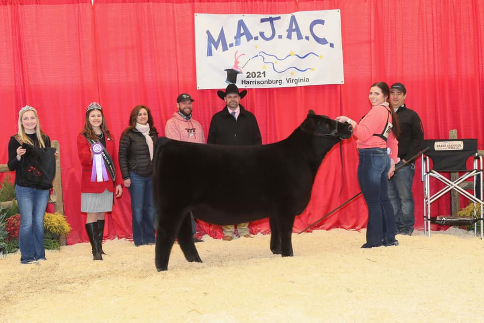 Seldom Rest Farms - Angus Show Cattle - Niles, Mi